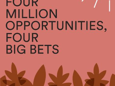 50CAN Strategic Plan: Four Million Opportunities, Four Big Bets