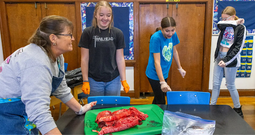 8th graders are looking at raw beef on a table. One girls has her arm over her face. One has her mouth open and one is staring at the meat. All have rubber gloves on their hands. The teacher is standing over the strips of beef.